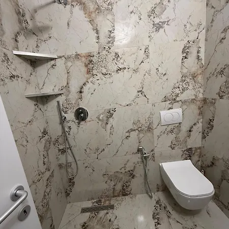 Vivis Vollga